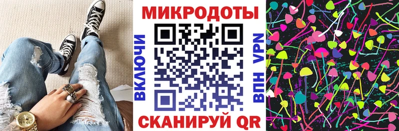 Купить где  Кореновск  Галлюциногенные грибы Cubensis 